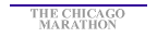 Chicago Marathon 2000 Art Print